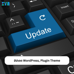 ดูแลเว็บไซต์โดยการอัปเดต WordPress, Plugin Theme