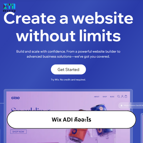 Wix ADI คืออะไรในการออกแบบเว็บไซต์