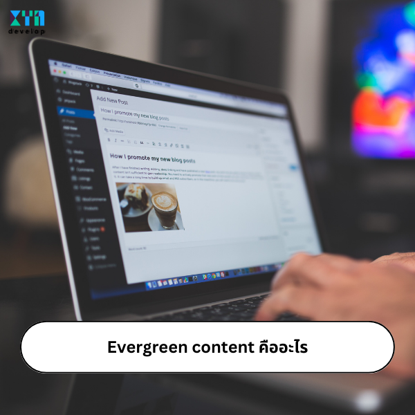 Evergreen content คืออะไรในการรับทำ SEO