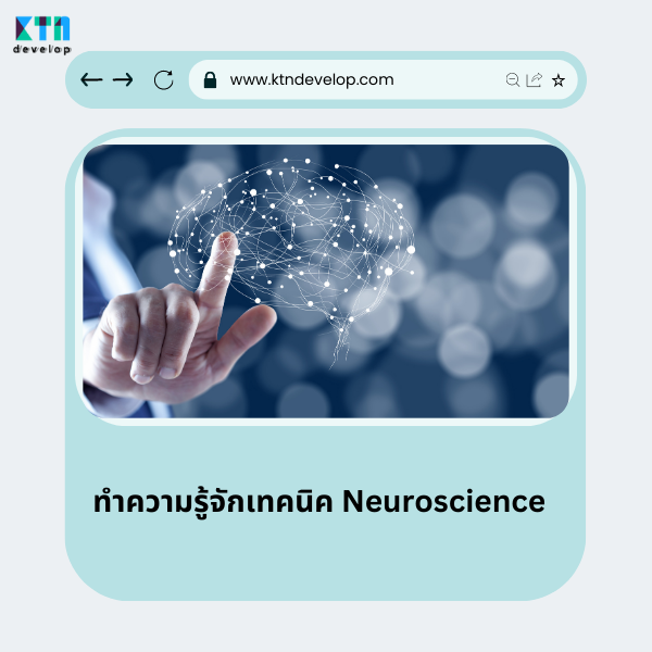 ทำความรู้จักเทคนิค Neuroscience ที่บริษัททำเว็บไซต์ต้องรู้
